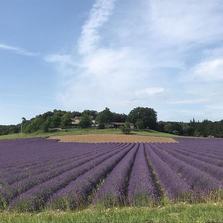 TuletteLe Figuier公寓 外观 照片