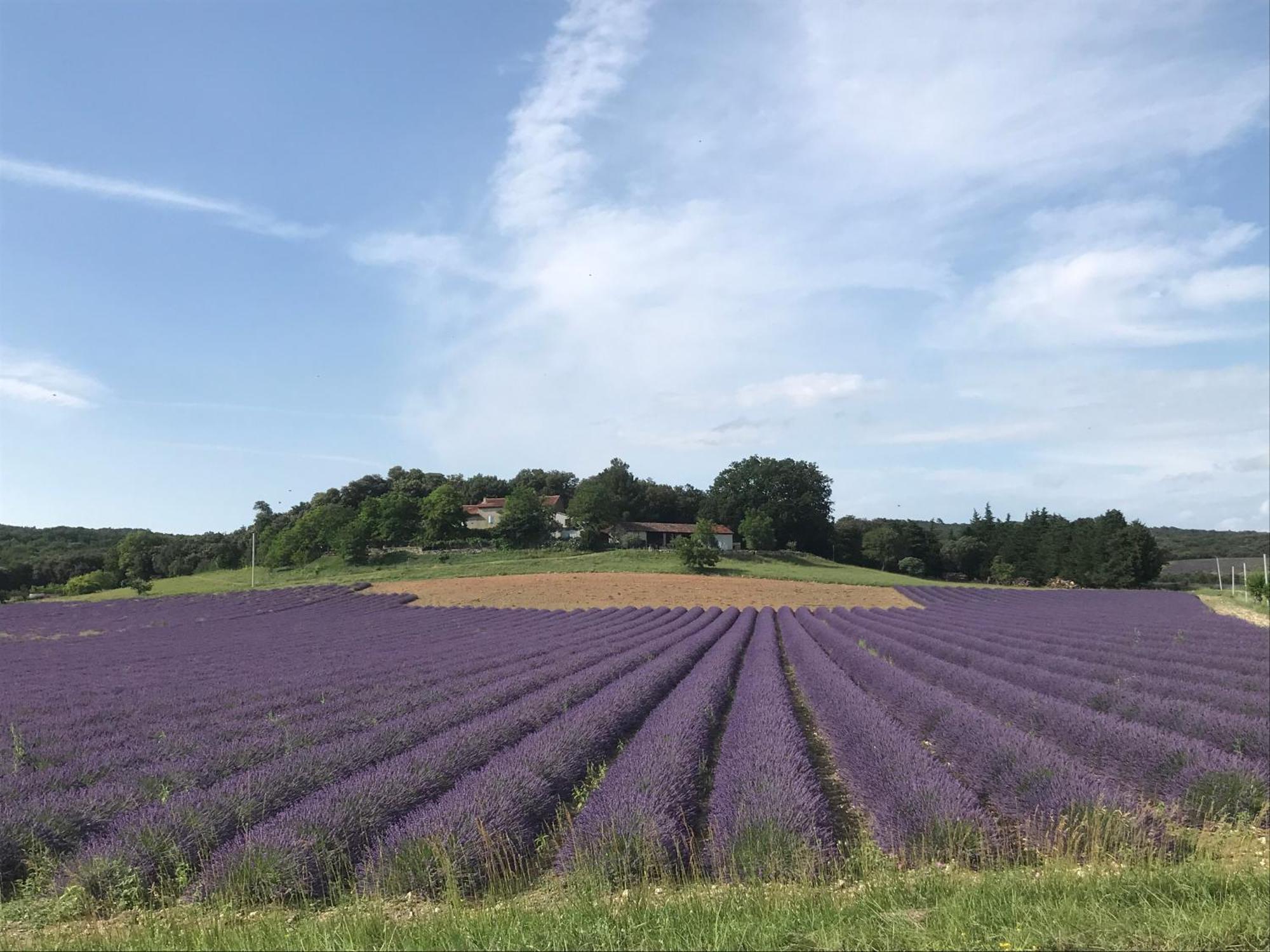 TuletteLe Figuier公寓 外观 照片